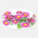 Search for aster stickers Daisies