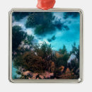 Search for snorkeling ornaments Caribbean