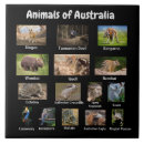 Search for reptile tiles Background