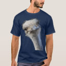 Recherche de reflets tshirts Nature