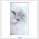 Search for fluffy friends stickers Furry friend