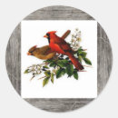 Search for cardinal stickers Animals