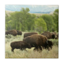 Recherche de bison carreaux Jaune