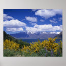 Search for queenstown posters Landscape