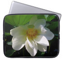 Search for perfect cases Leaf