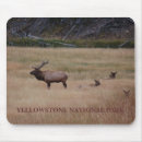 Search for hunting mousepads Landscape