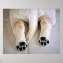 Search for animal butt posters Dog