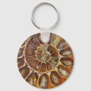 Recherche de fossiles porteclés Préhistorique