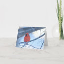 Search for cardinal horizontal note cards Birds
