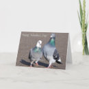 Search for two doves cards Pigeons