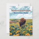 Search for theodore cards Theodore roosevelt national park