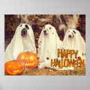 Search for pumpkin trick art Dog