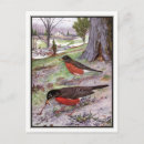 Search for country countryside postcards Botanical