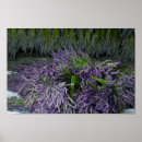 Search for bundle posters Flower