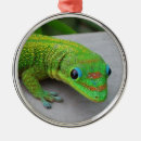 Search for gecko ornaments Wildlife