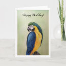 Search for bird pun cards Watercolor