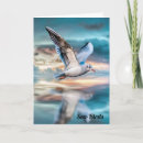 Search for seagull cards Beautiful