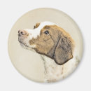 Search for brittanies magnets Spaniel