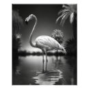 Search for black and white flamingo posters Tropical