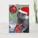 Search for grey cat christmas cards Kittens