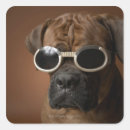Search for dog in sunglasses stickers Dogs