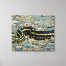 Search for snake canvas prints Nature