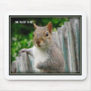 Search for squirrel electronics Humourous