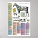 Search for health posters Chart