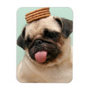 Search for or treat magnets Cute