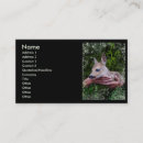 Search for fawn business cards Animal
