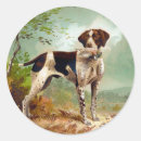Search for bird dog stickers Hunting