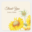 Recherche de tournesols autocollants Merci