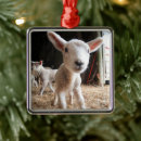 Search for baby lamb ornaments Livestock