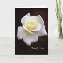 Search for sympathy notes for flowers White
