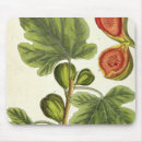 Recherche de fines herbes tapis souris Fl 1757 82