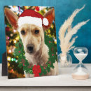Recherche de le chiot plaques Noël