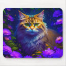 Recherche de joli chat tapis souris Chaton
