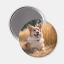Recherche de dog magnets Amour