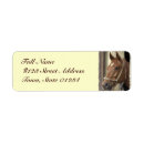 Search for arabian return address labels Equine