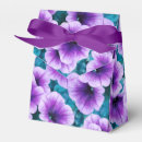 Recherche de pétunia Violet