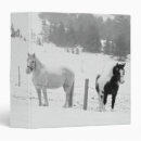 Search for horse binders Ranch