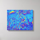 Search for distinction art Pattern