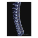 Search for vertebrate Medical