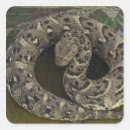 Recherche de snake autocollants Faune