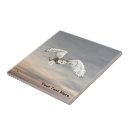 Recherche de chouette carreaux Faune