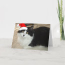 Search for black and white cat christmas cards Humour