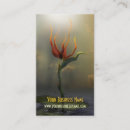 Search for surreal business cards Unique