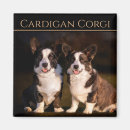 Search for cardigans magnets Corgi
