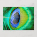 Recherche de macro cartes postales Violet