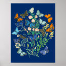 Search for vintage wildlife posters Butterflies